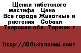 Щенки тибетского мастифа › Цена ­ 80 - Все города Животные и растения » Собаки   . Тверская обл.,Торжок г.
